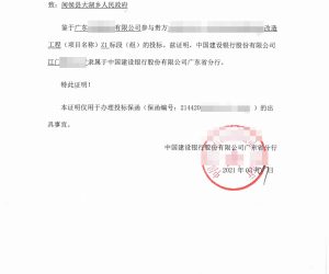 出具中国建设银行广东省分行的投标保函+隶属证明